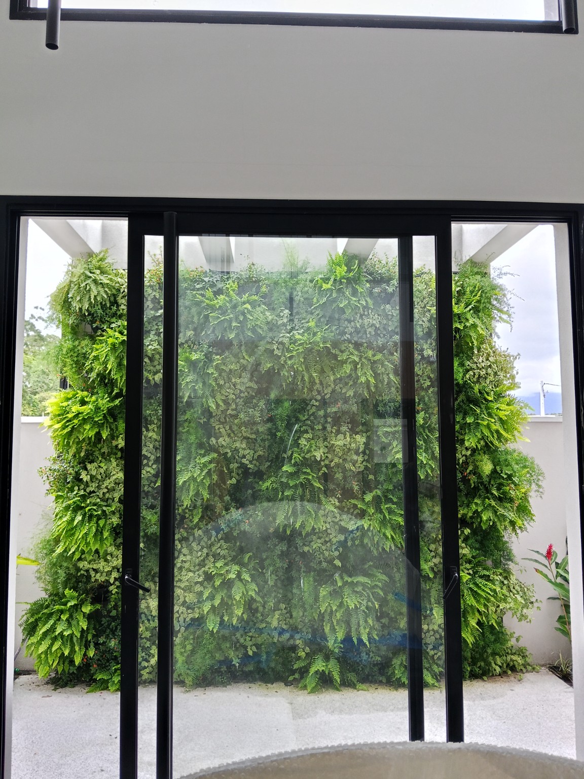 Jardim vertical visto através da esquadria no Módulo 15